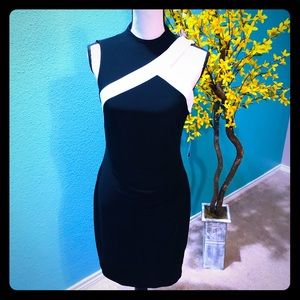 NWT Ralph Lauren Bodycon Dress 4